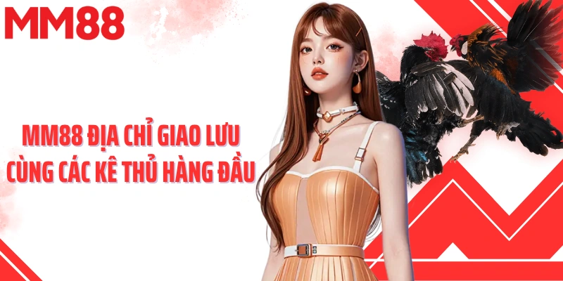 MM88 địa chỉ giao lưu cùng các kê thủ hàng đầu
